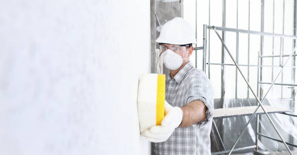 Best Emergency Mold Remediation  in Dover, NH