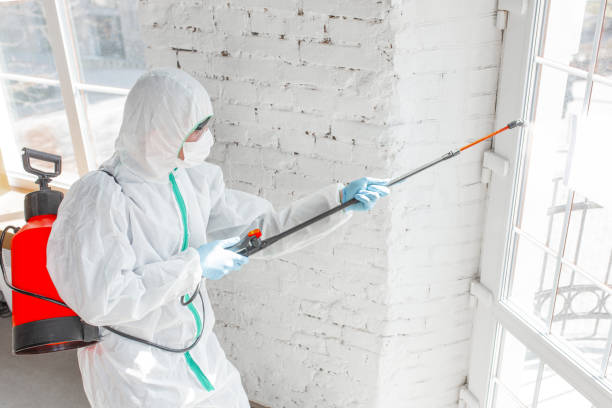  Dover, NH Mold Removal & Remediation Pros